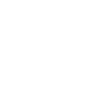 Trusted Choice Logo